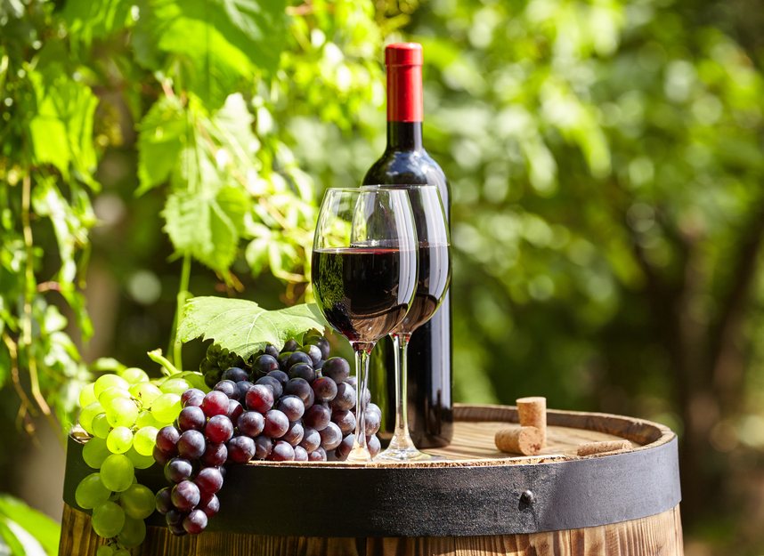 Vino Barbera: origini, terroir e abbinamenti Vino Barbera: origini, terroir e abbinamenti
